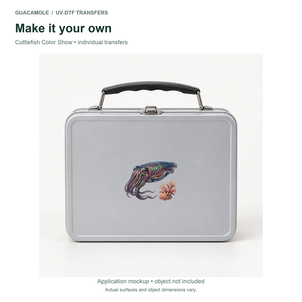 Cuttlefish Color Show — Second application setting