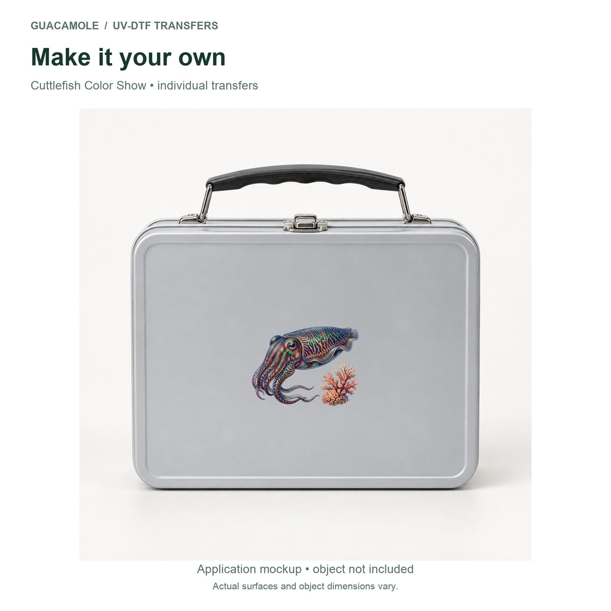 Cuttlefish Color Show — Second application setting