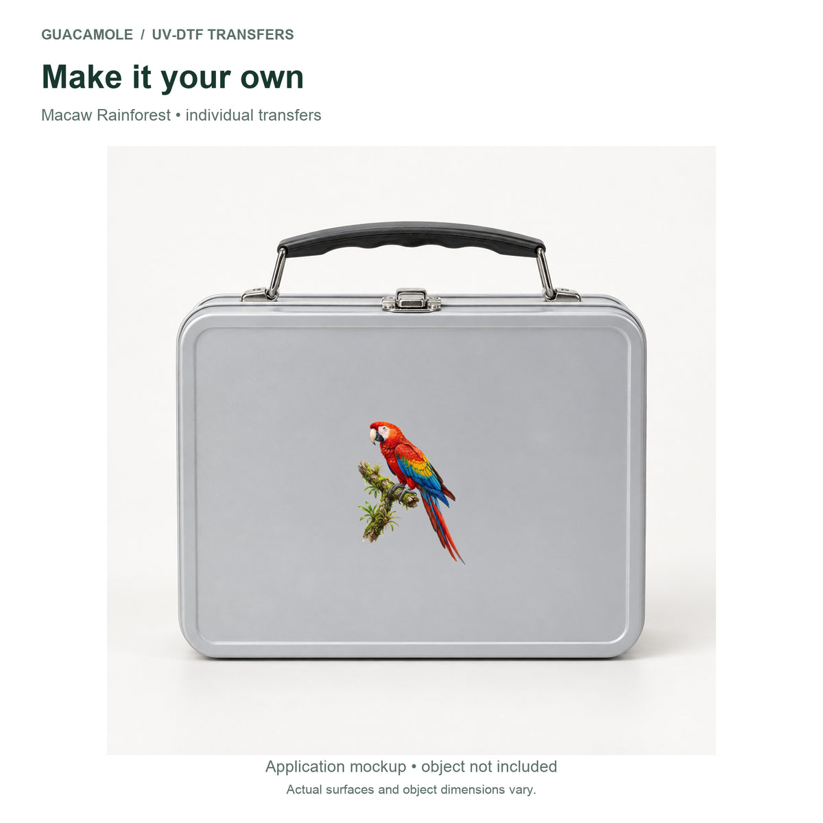 Macaw Rainforest — Second application setting