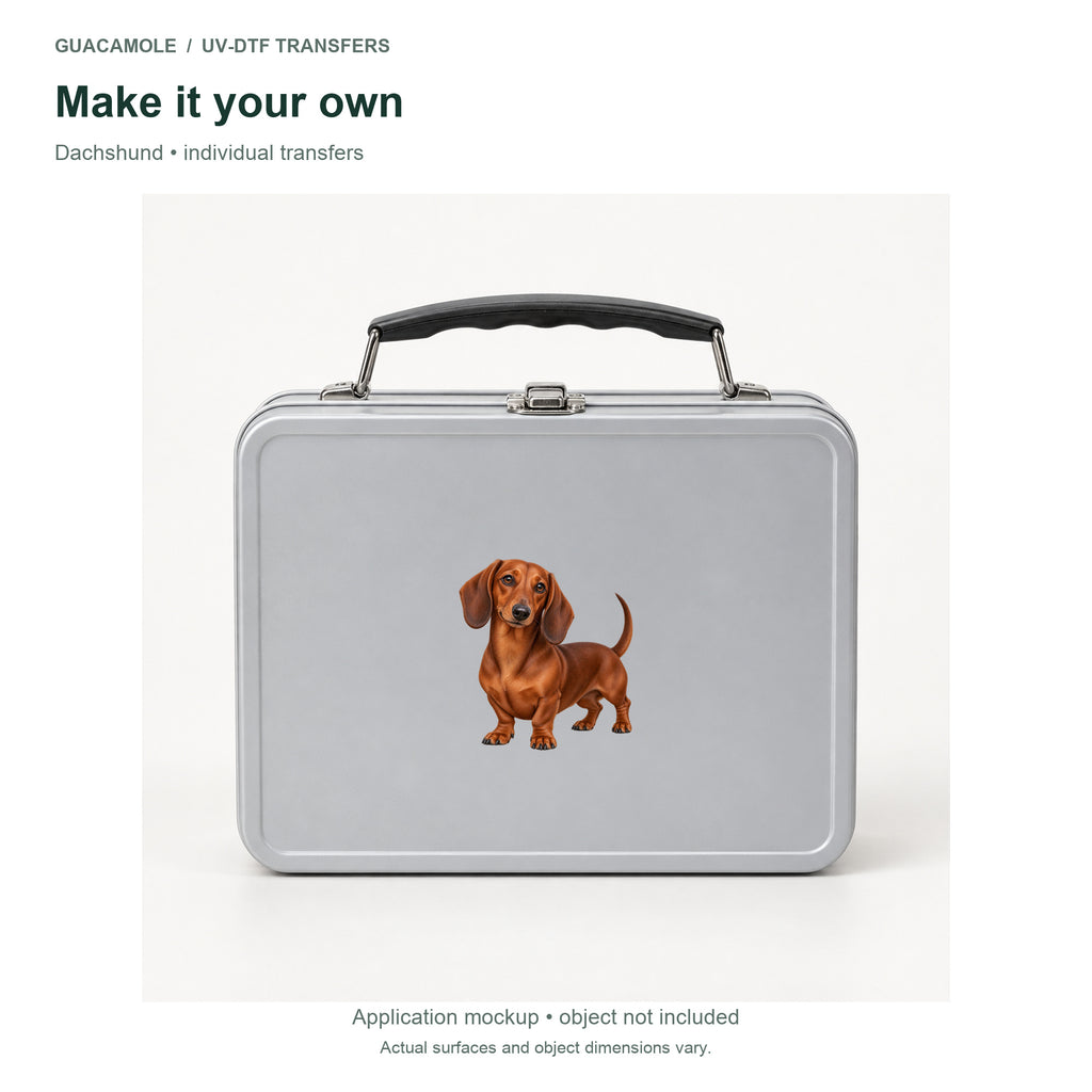 Dachshund — Second application setting