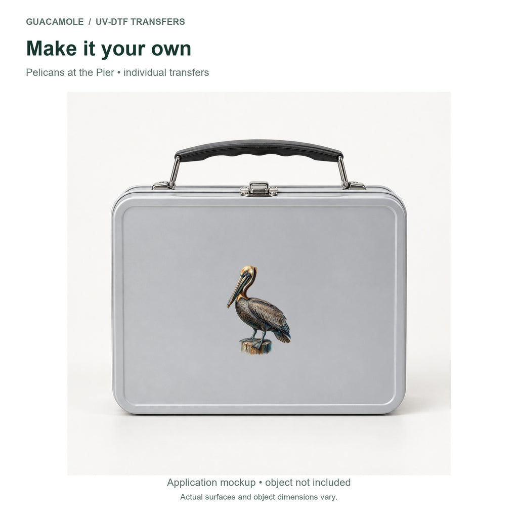 Pelicans at the Pier — Second application setting