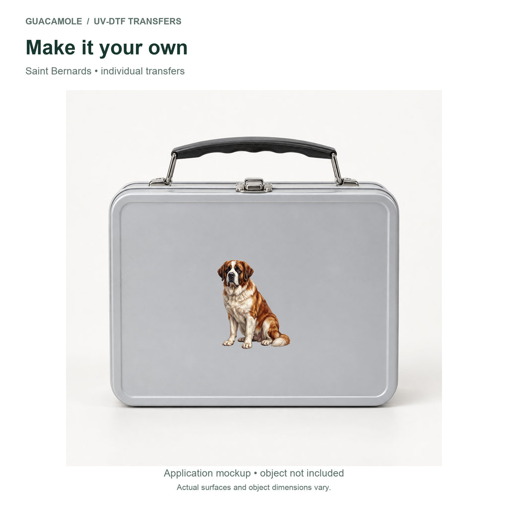 Saint Bernards — Second application setting