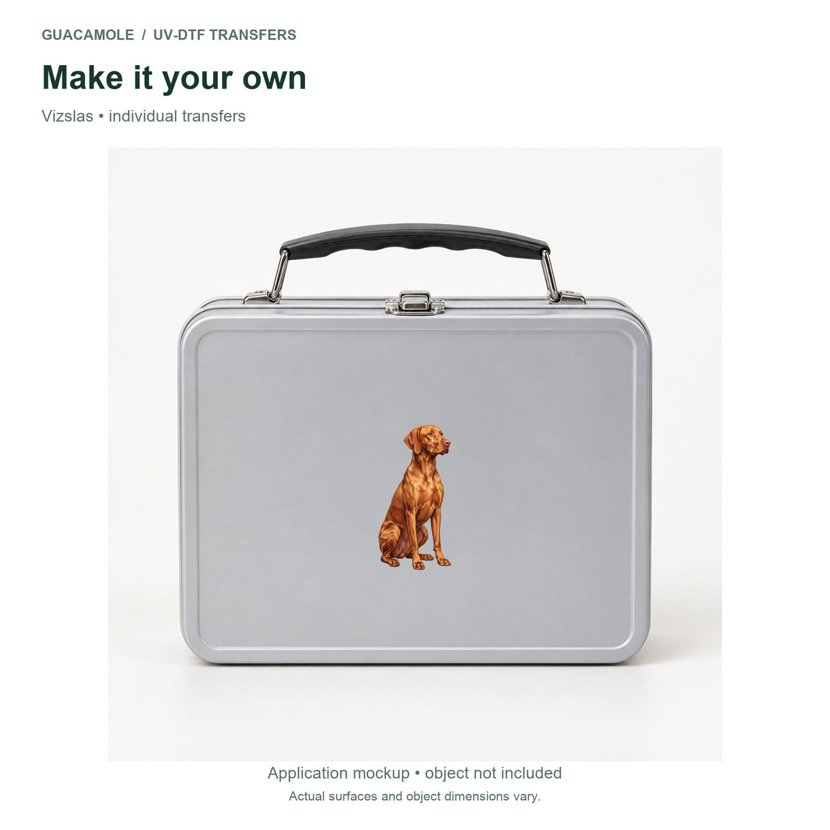 Vizslas — Second application setting