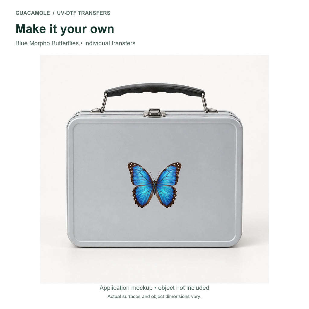 Blue Morpho Butterflies — Second application setting