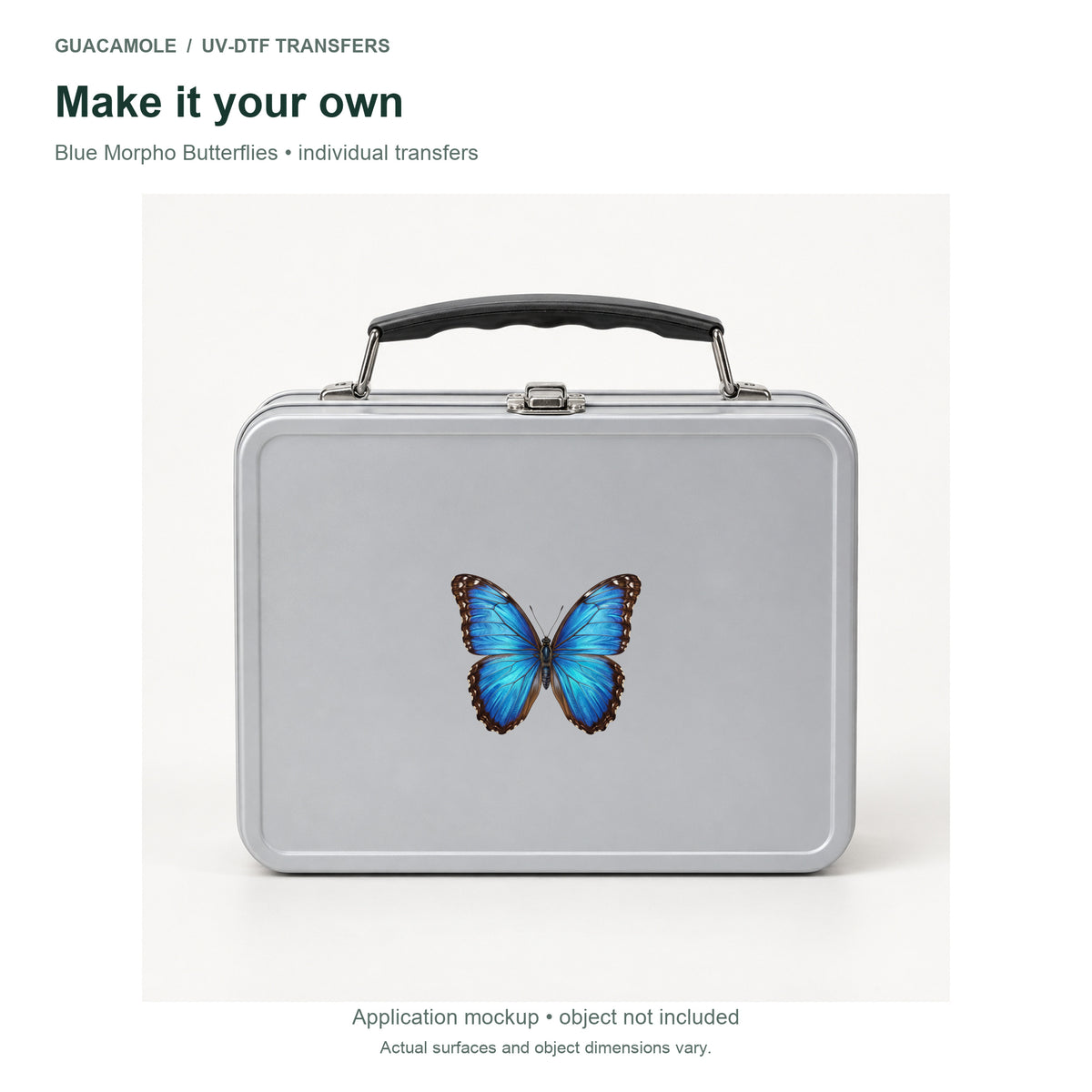 Blue Morpho Butterflies — Second application setting