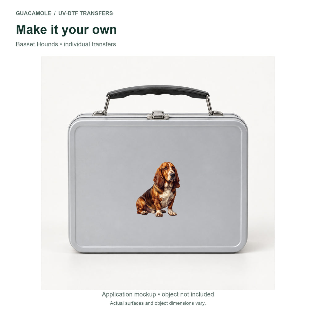 Basset Hounds — Second application setting