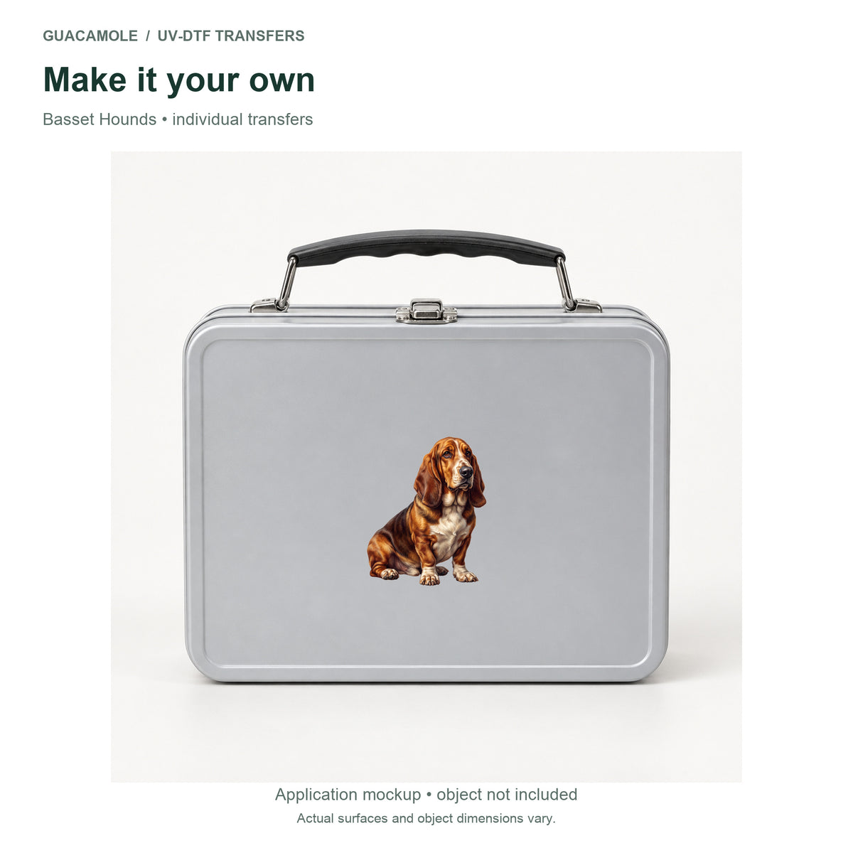 Basset Hounds — Second application setting
