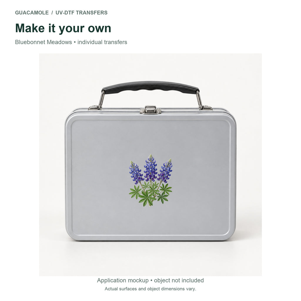 Bluebonnet Meadows — Second application setting