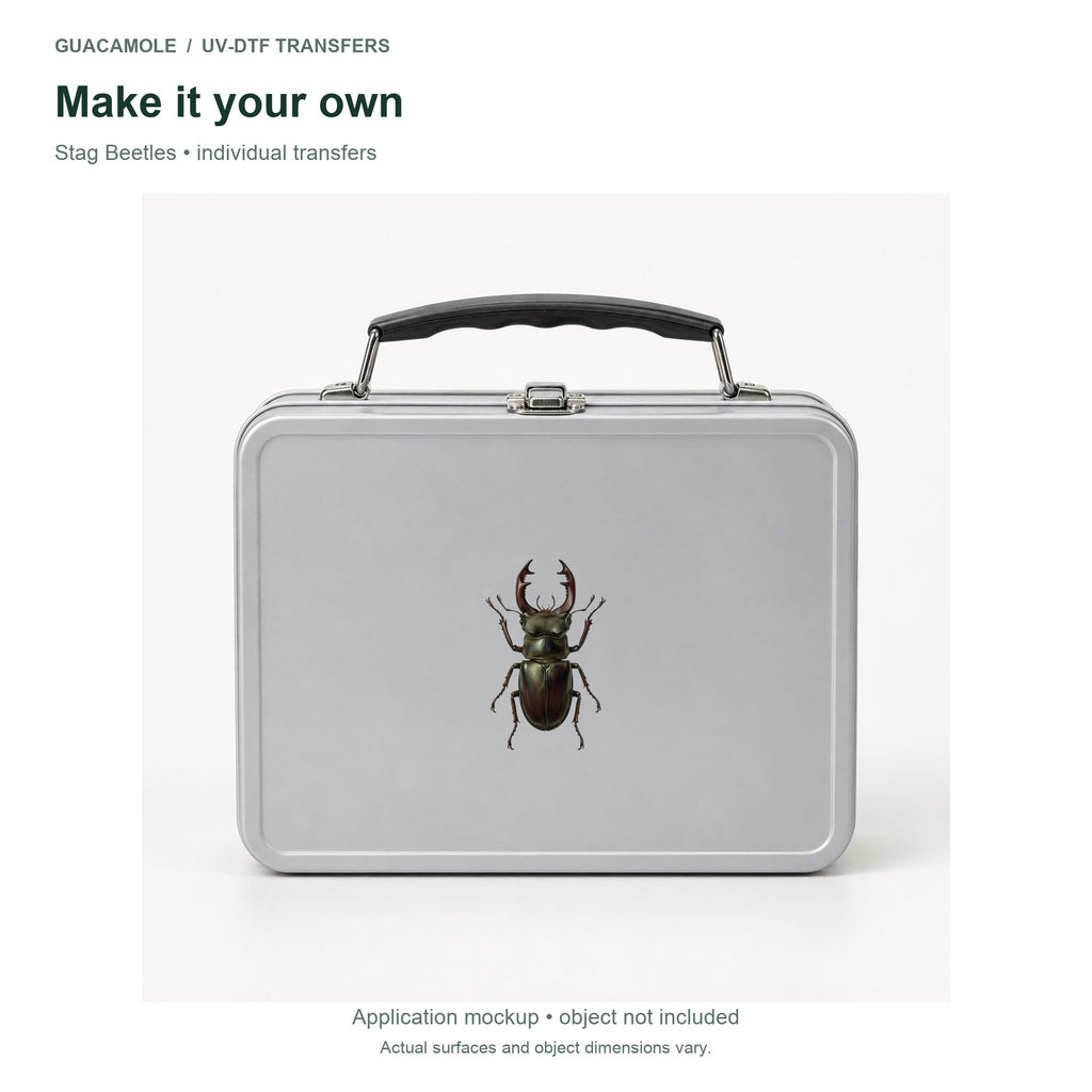 Stag Beetles — Second application setting