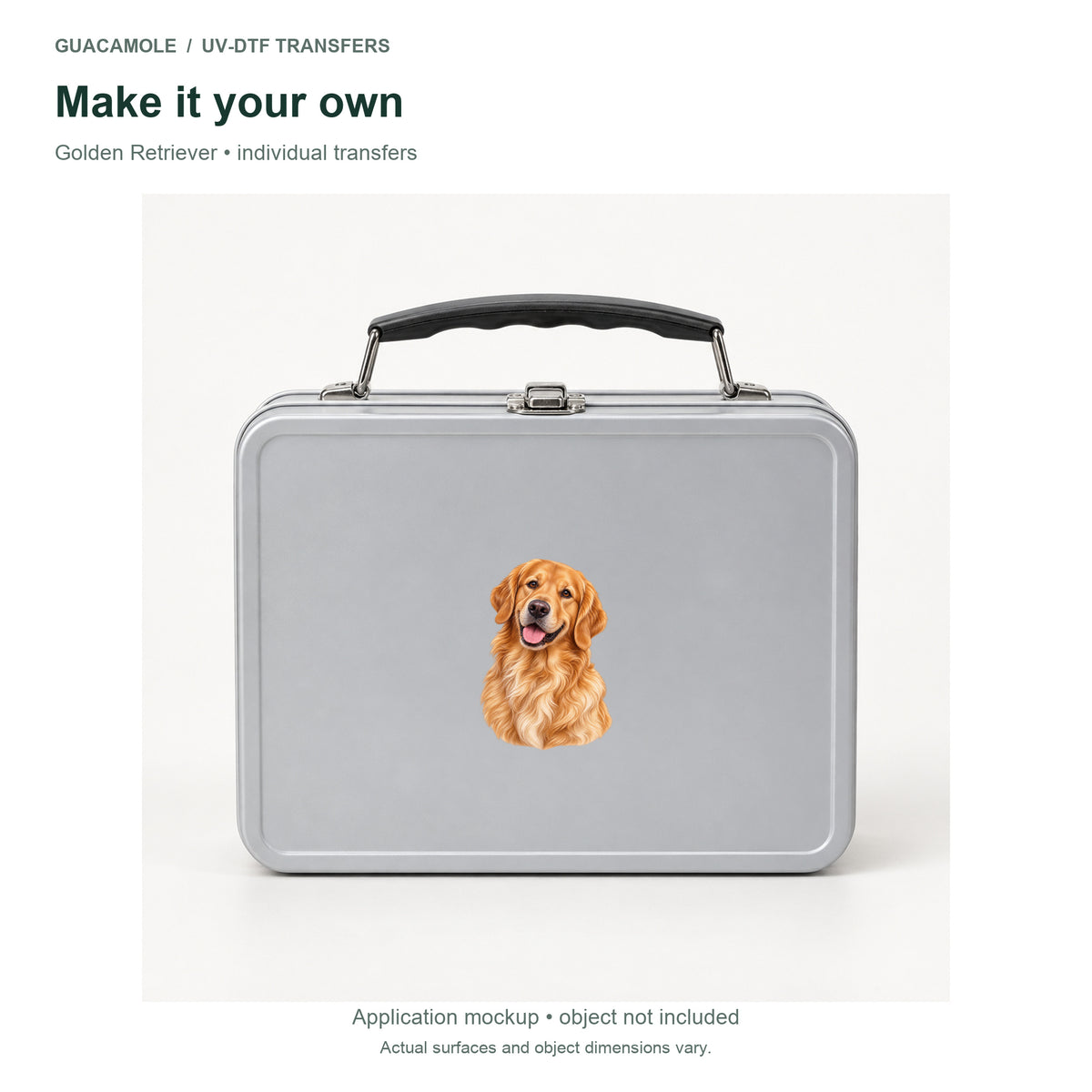 Golden Retriever — Second application setting