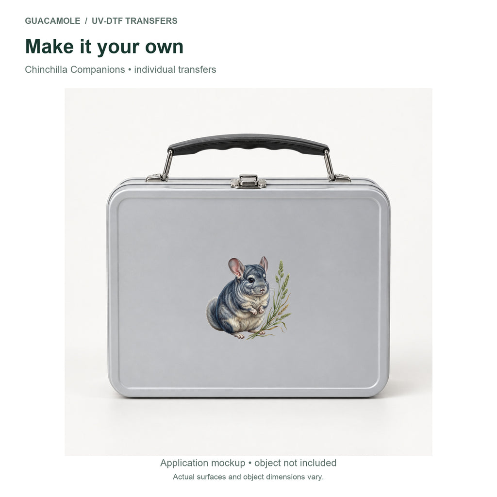 Chinchilla Companions — Second application setting