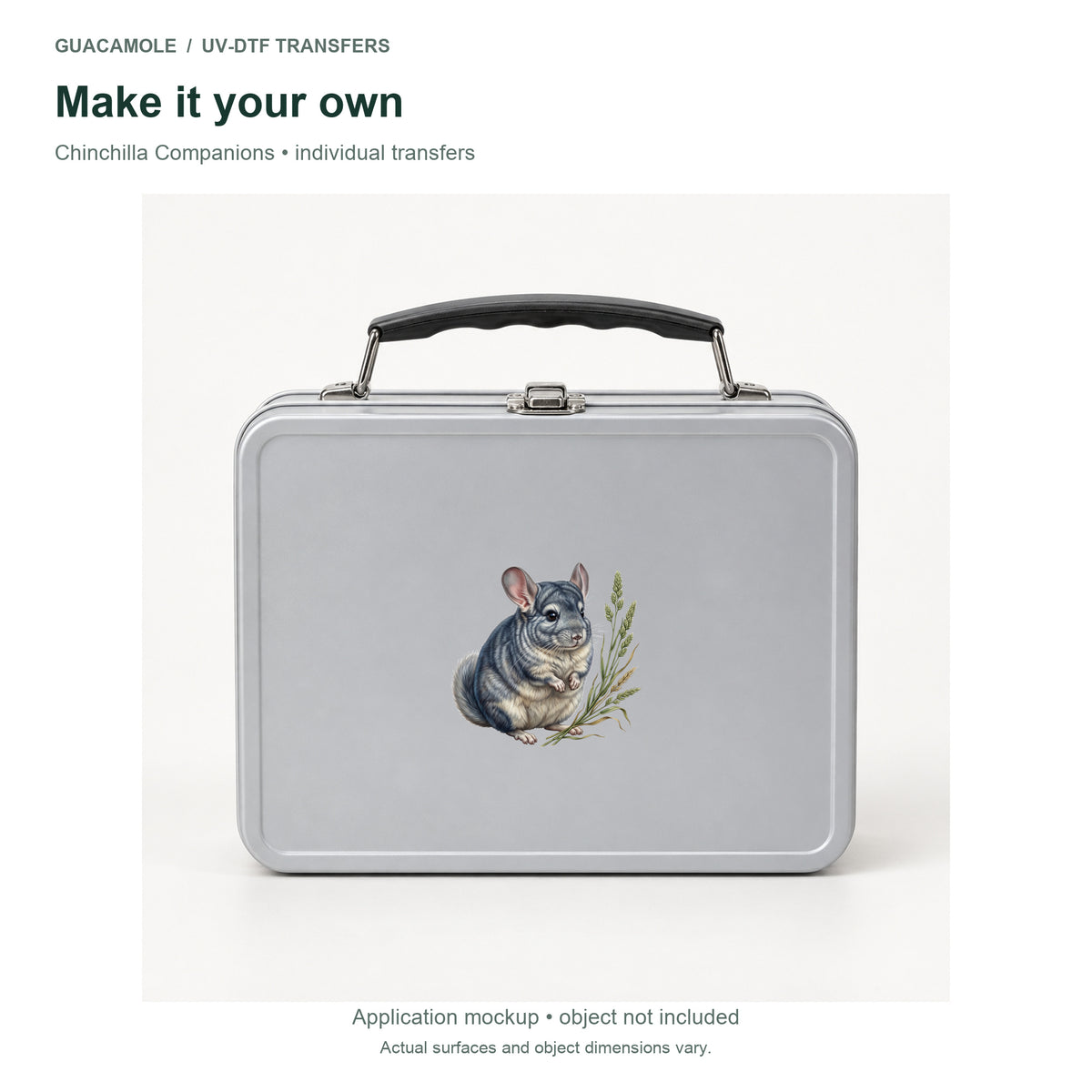 Chinchilla Companions — Second application setting