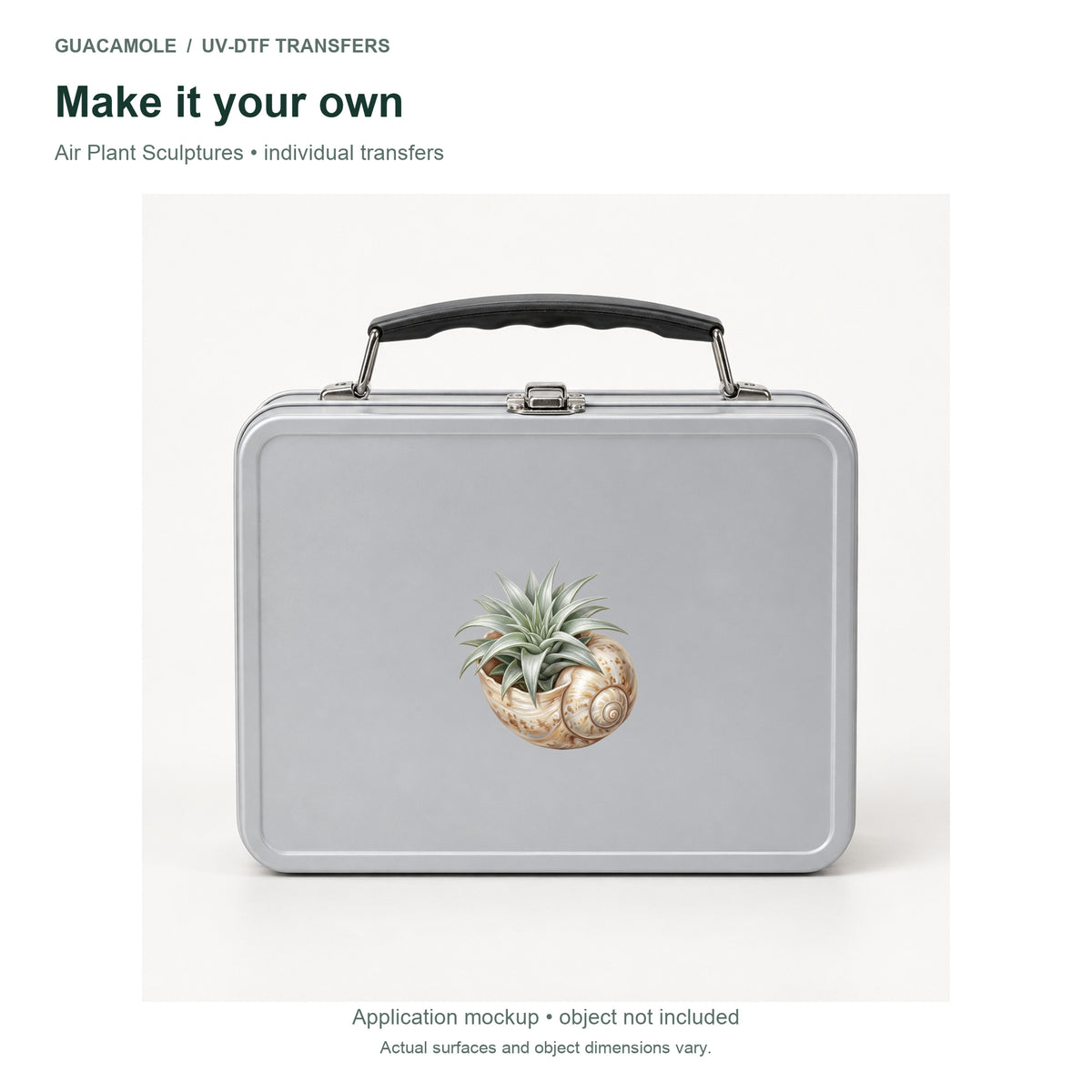 Air Plant Sculptures — Second application setting