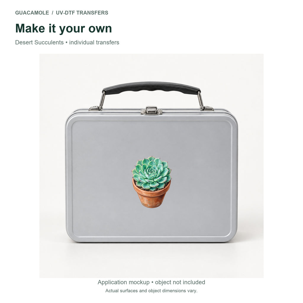 Desert Succulents — Second application setting