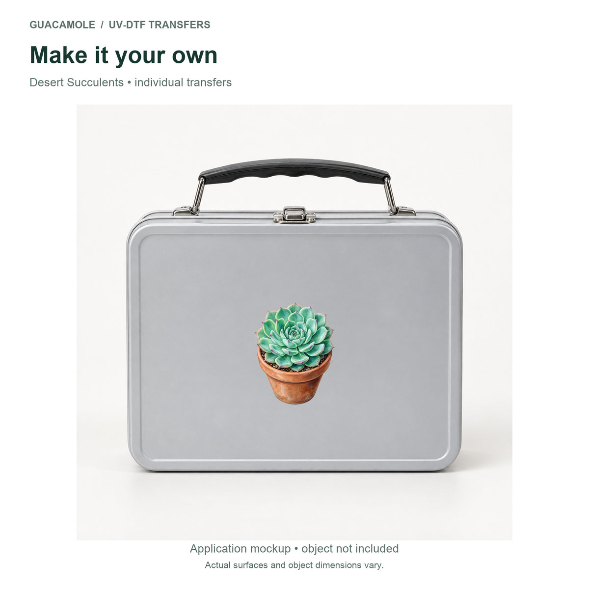 Desert Succulents — Second application setting