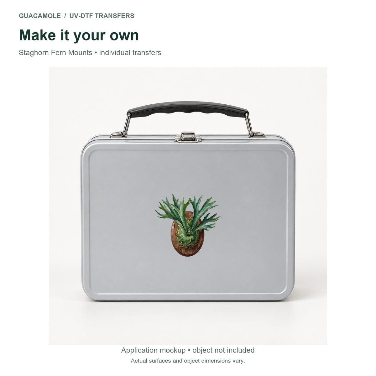 Staghorn Fern Mounts — Second application setting
