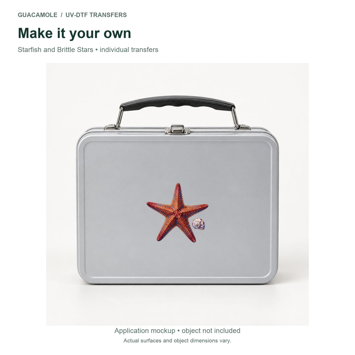 Starfish and Brittle Stars — Second application setting