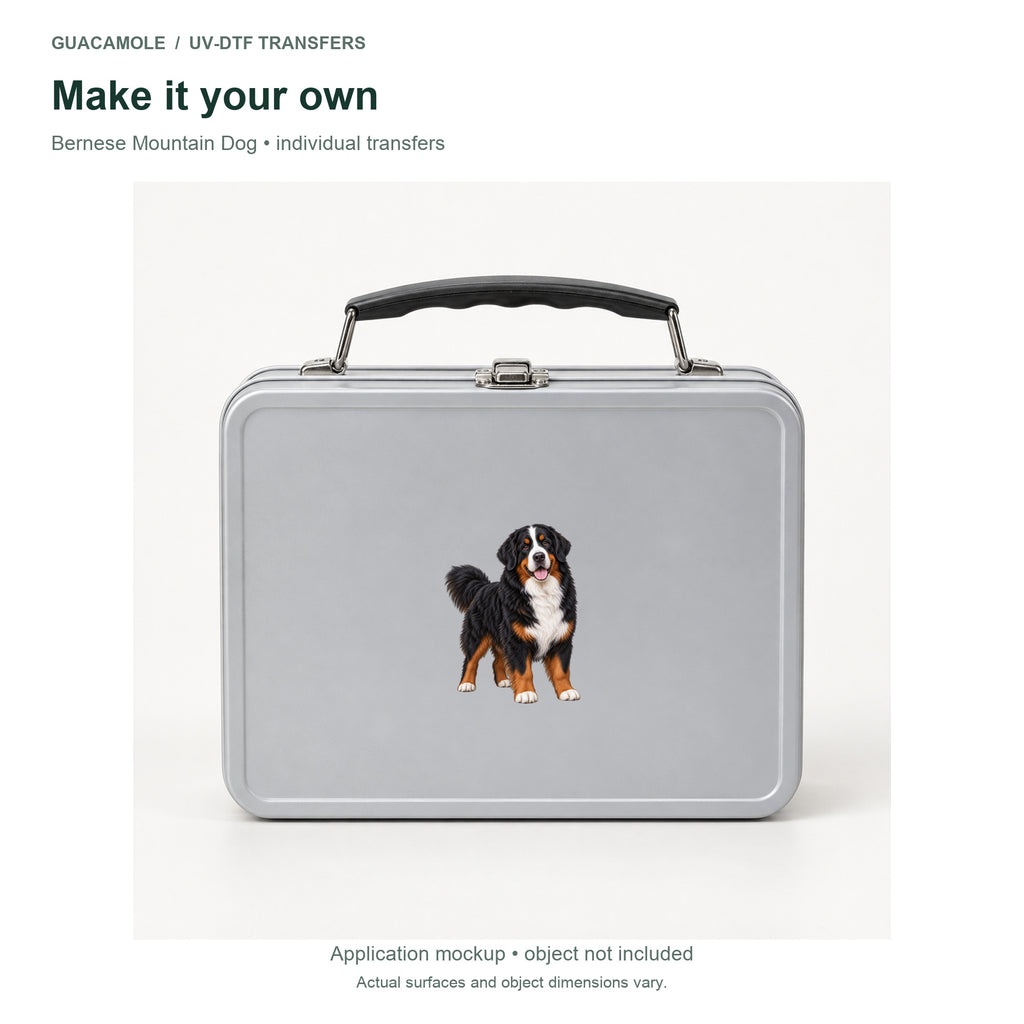 Bernese Mountain Dog — Second application setting