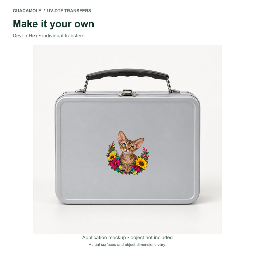 Devon Rex — Second application setting