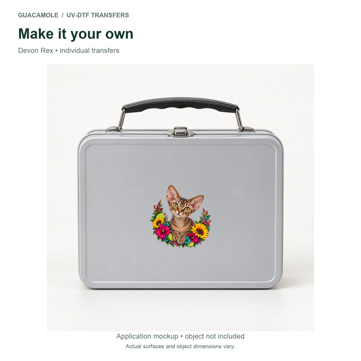 Devon Rex — Second application setting