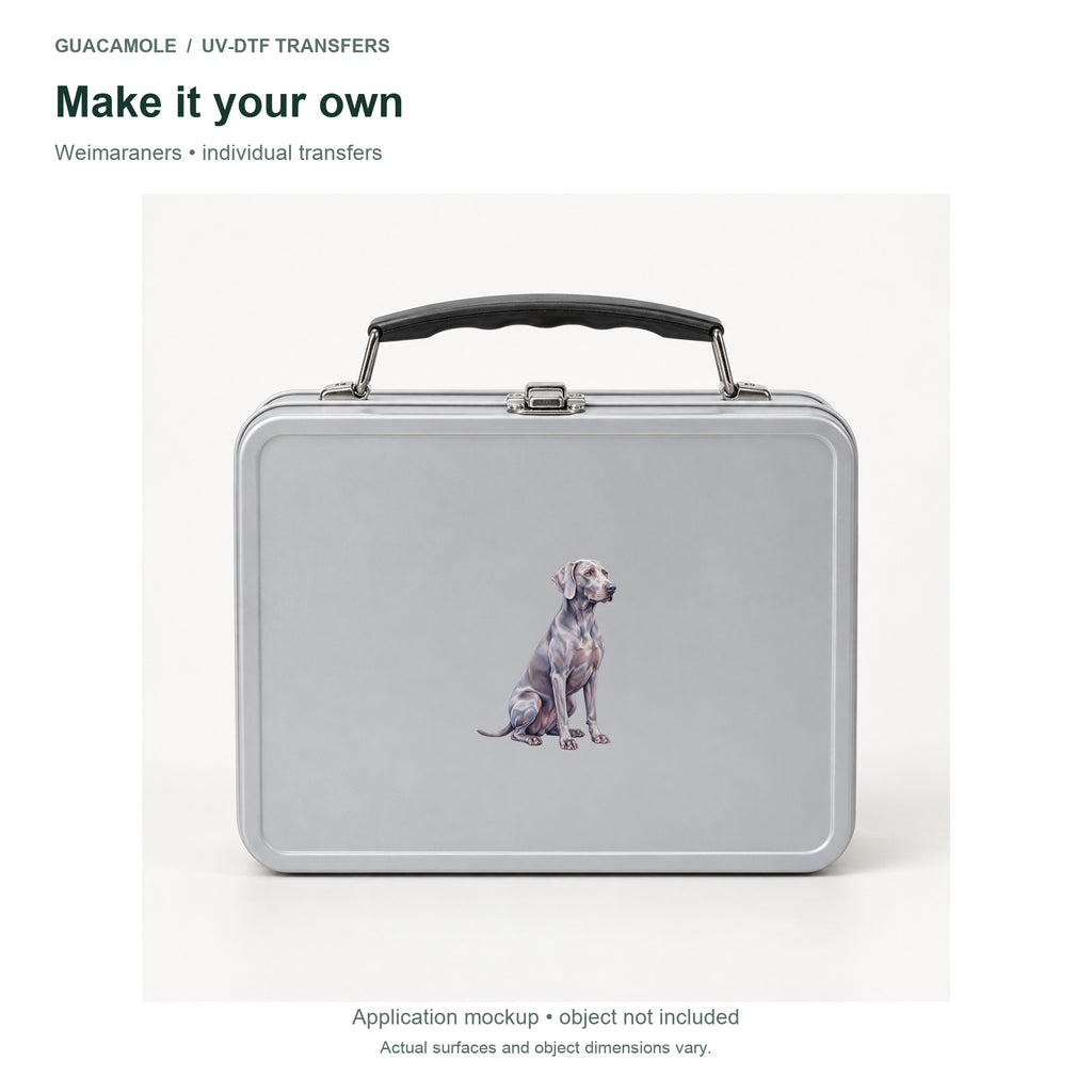Weimaraners — Second application setting