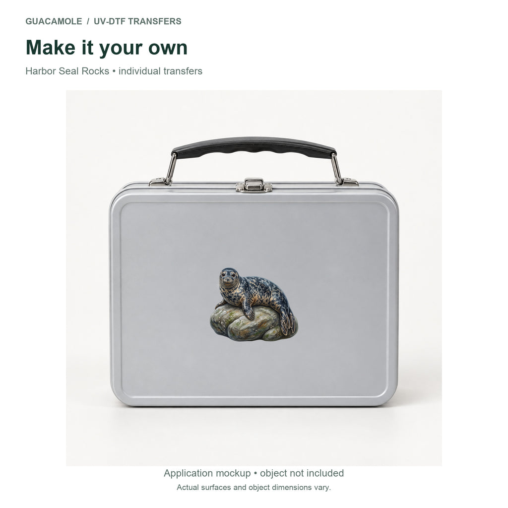 Harbor Seal Rocks — Second application setting