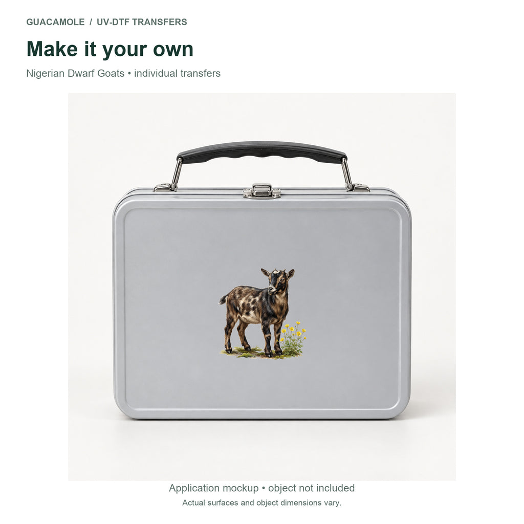 Nigerian Dwarf Goats — Second application setting