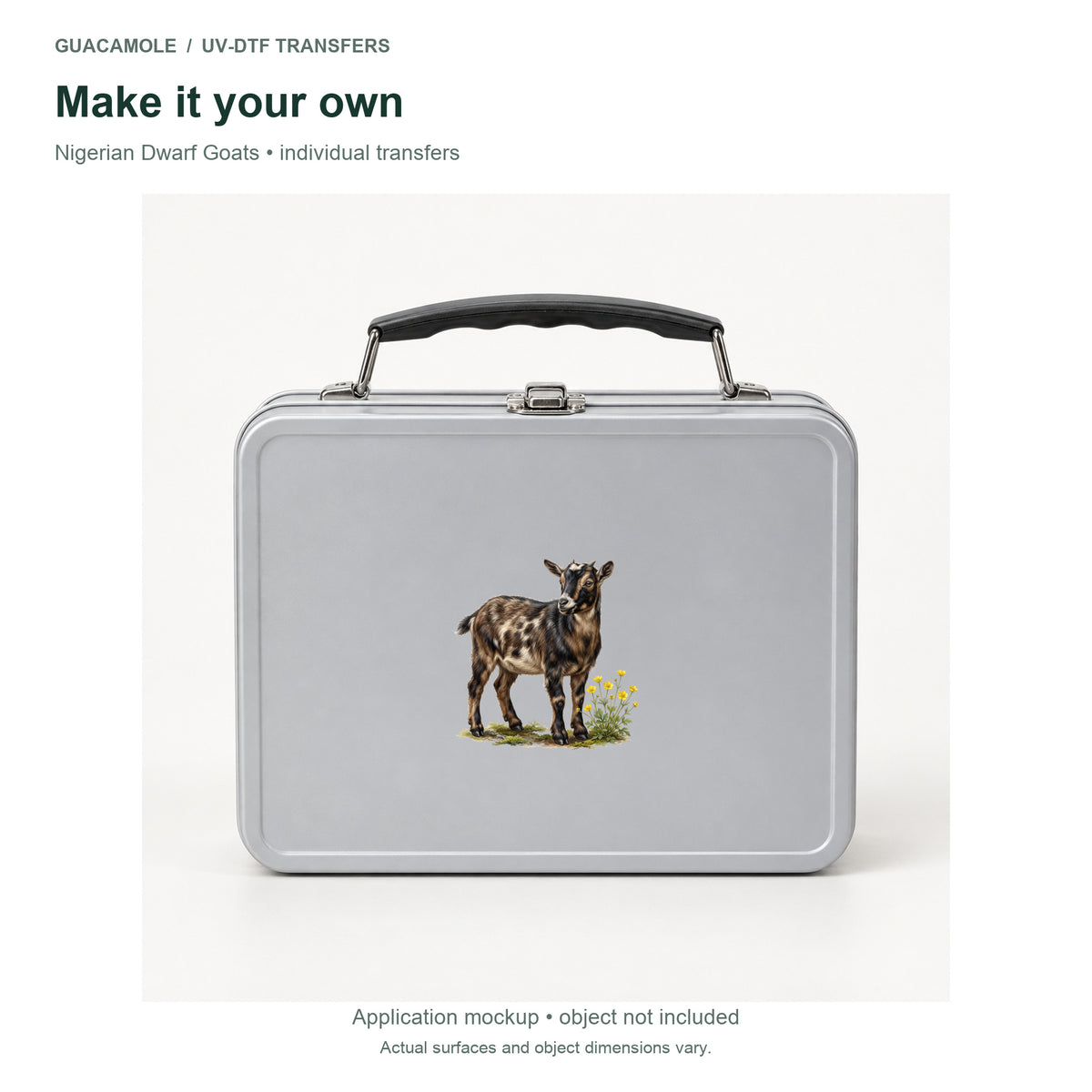 Nigerian Dwarf Goats — Second application setting