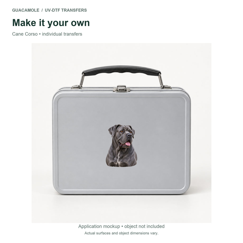 Cane Corso — Second application setting
