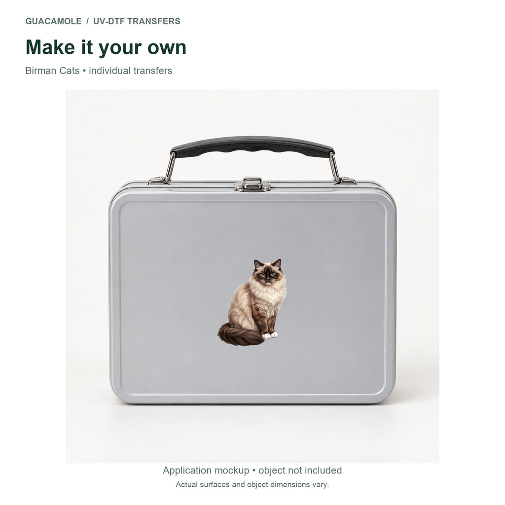 Birman Cats — Second application setting