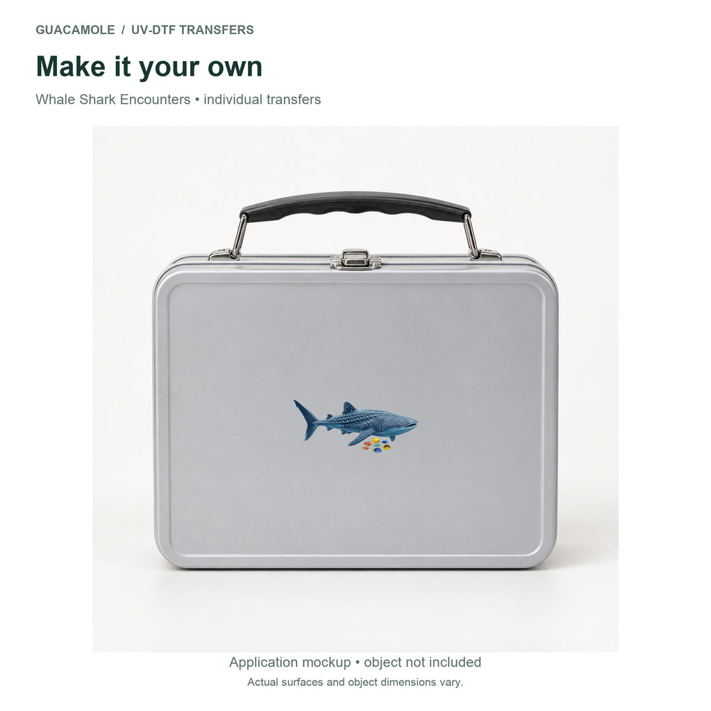 Whale Shark Encounters — Second application setting