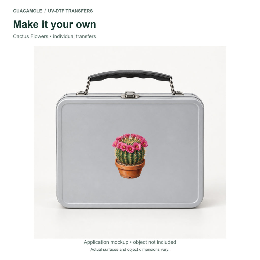 Cactus Flowers — Second application setting