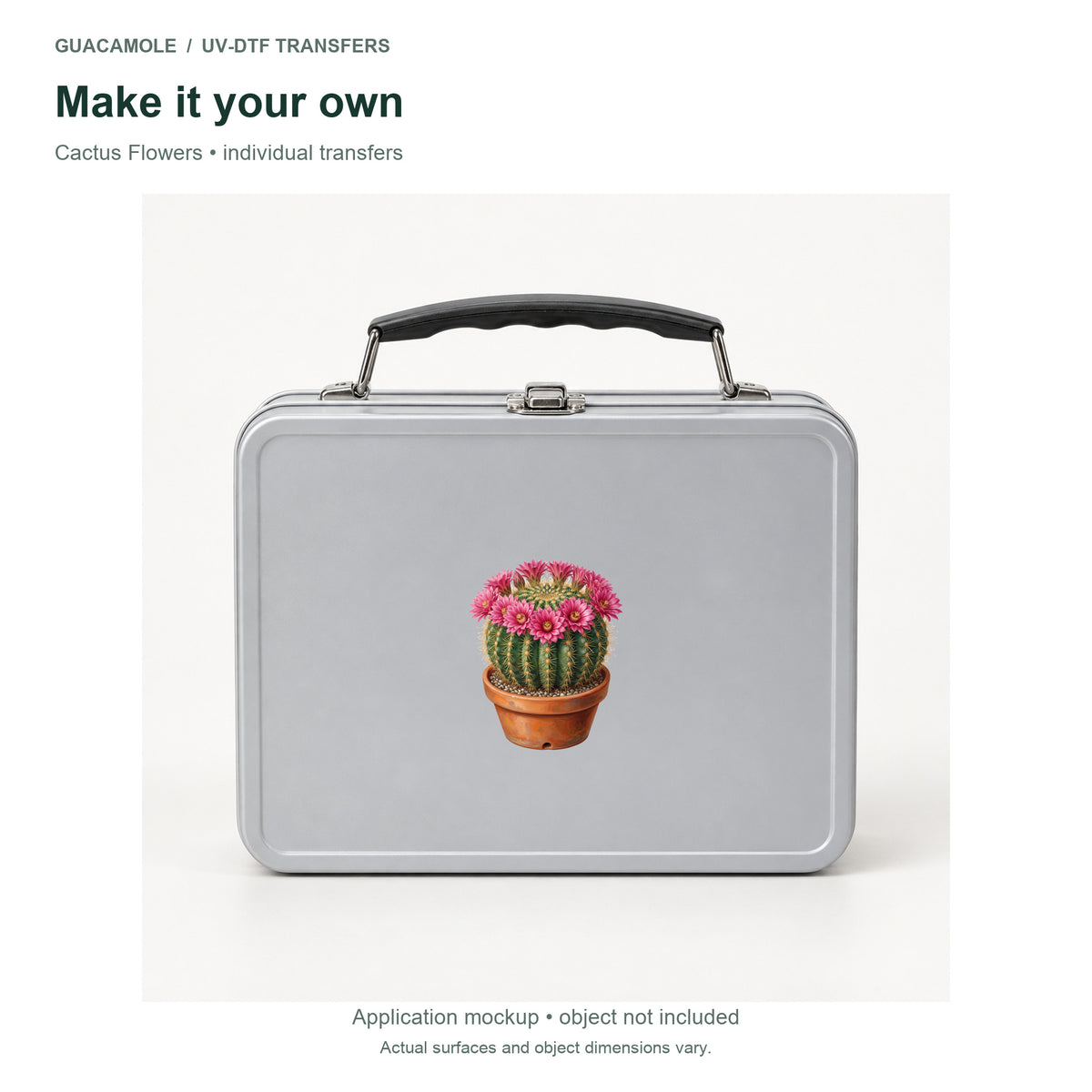 Cactus Flowers — Second application setting