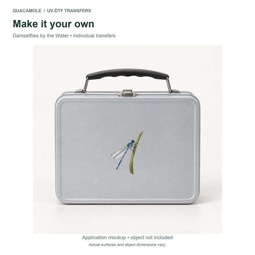Damselflies by the Water — Second application setting