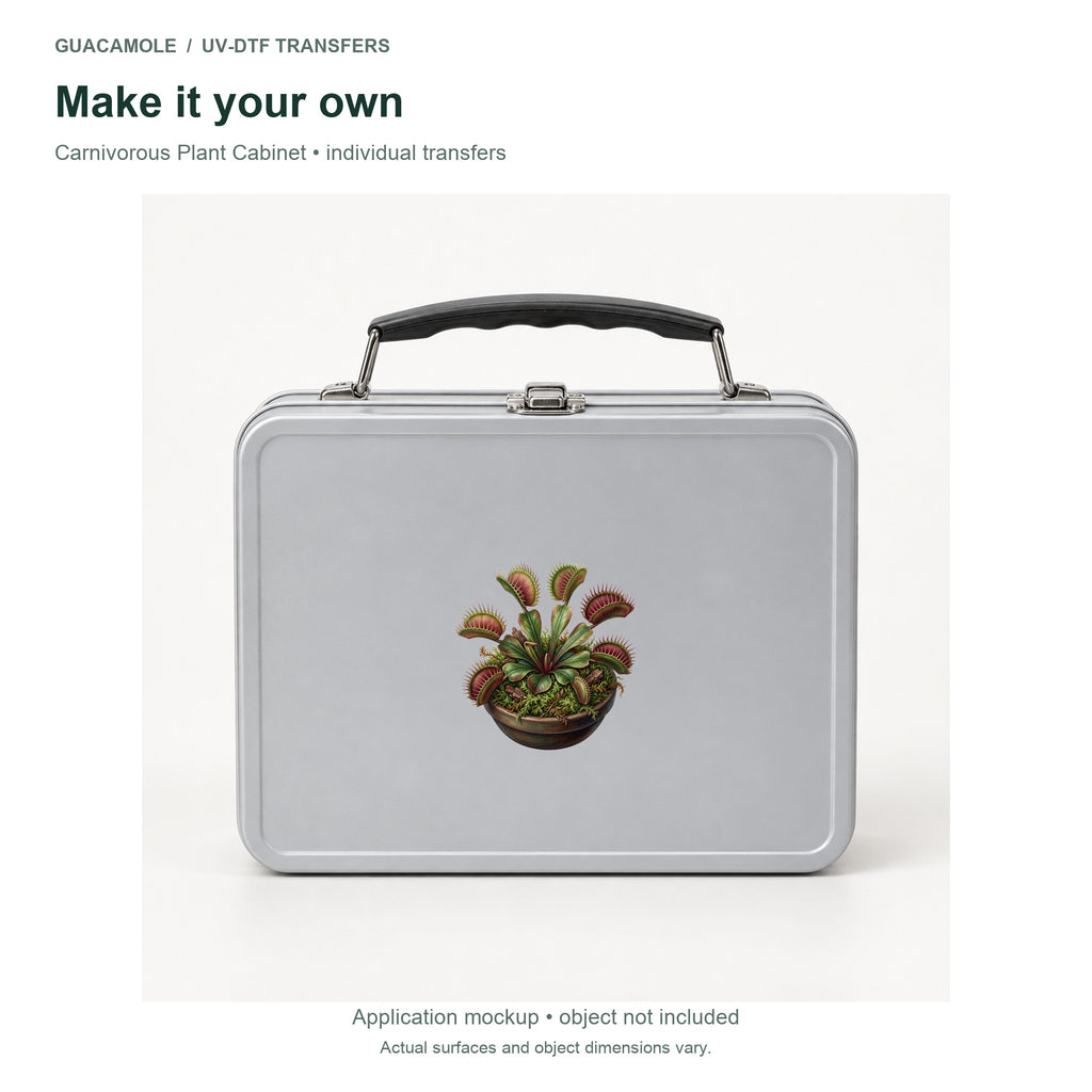 Carnivorous Plant Cabinet — Second application setting