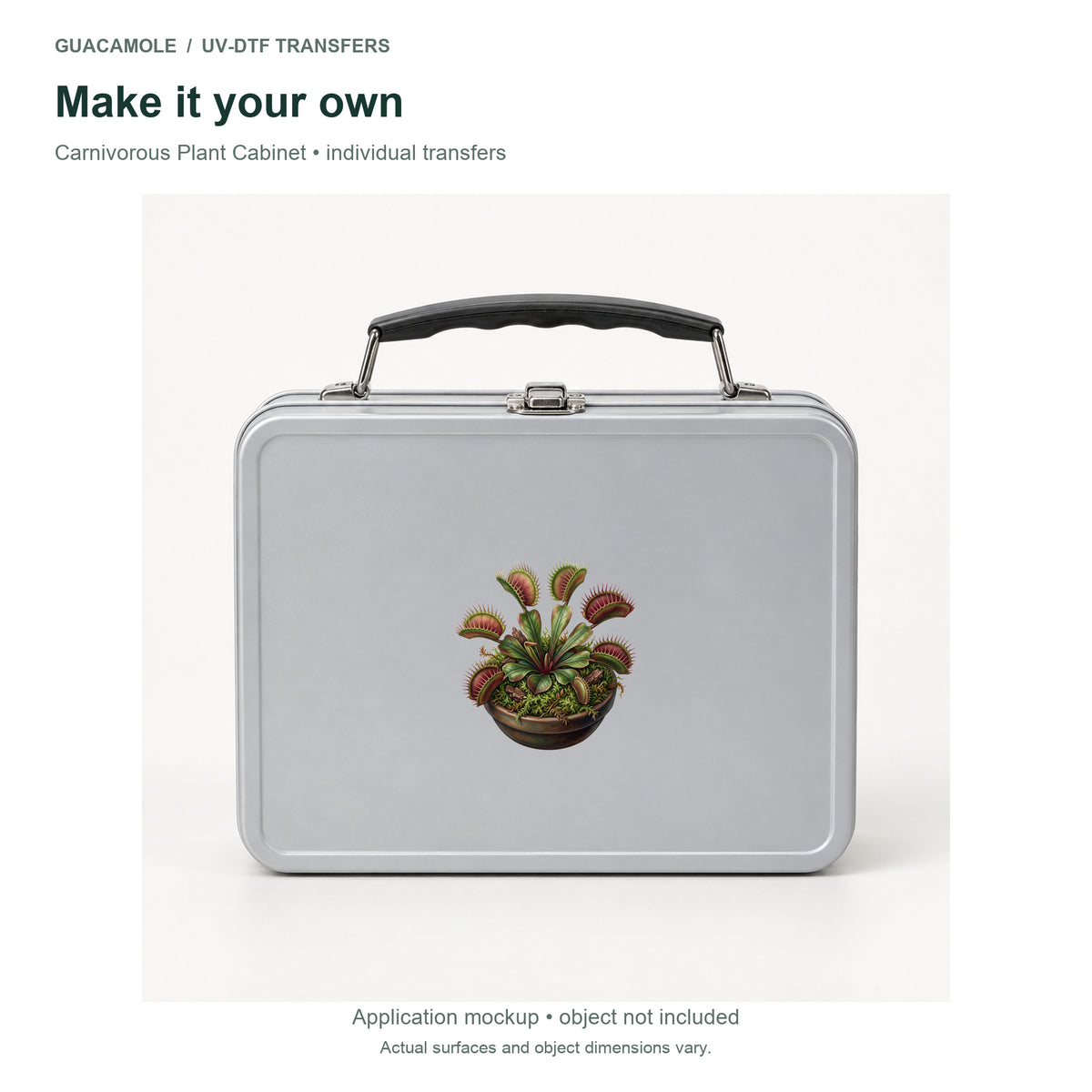 Carnivorous Plant Cabinet — Second application setting