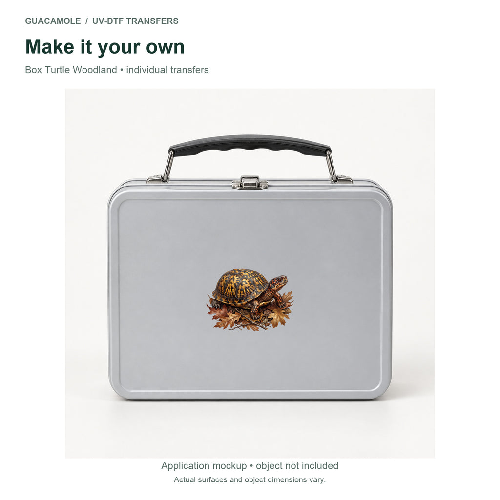Box Turtle Woodland — Second application setting