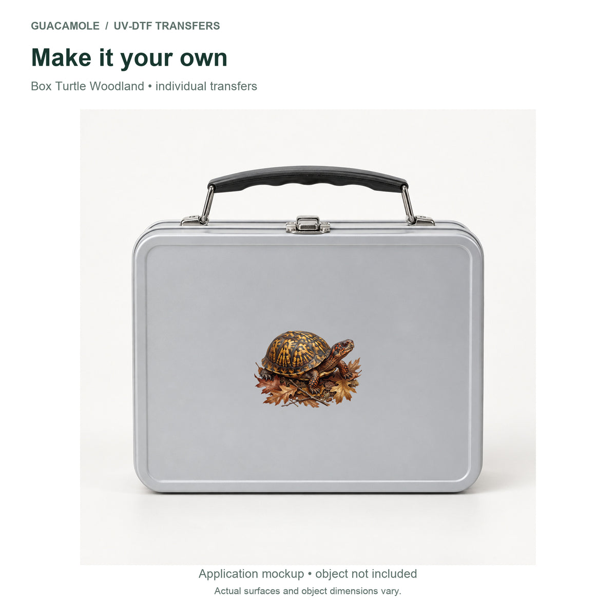 Box Turtle Woodland — Second application setting