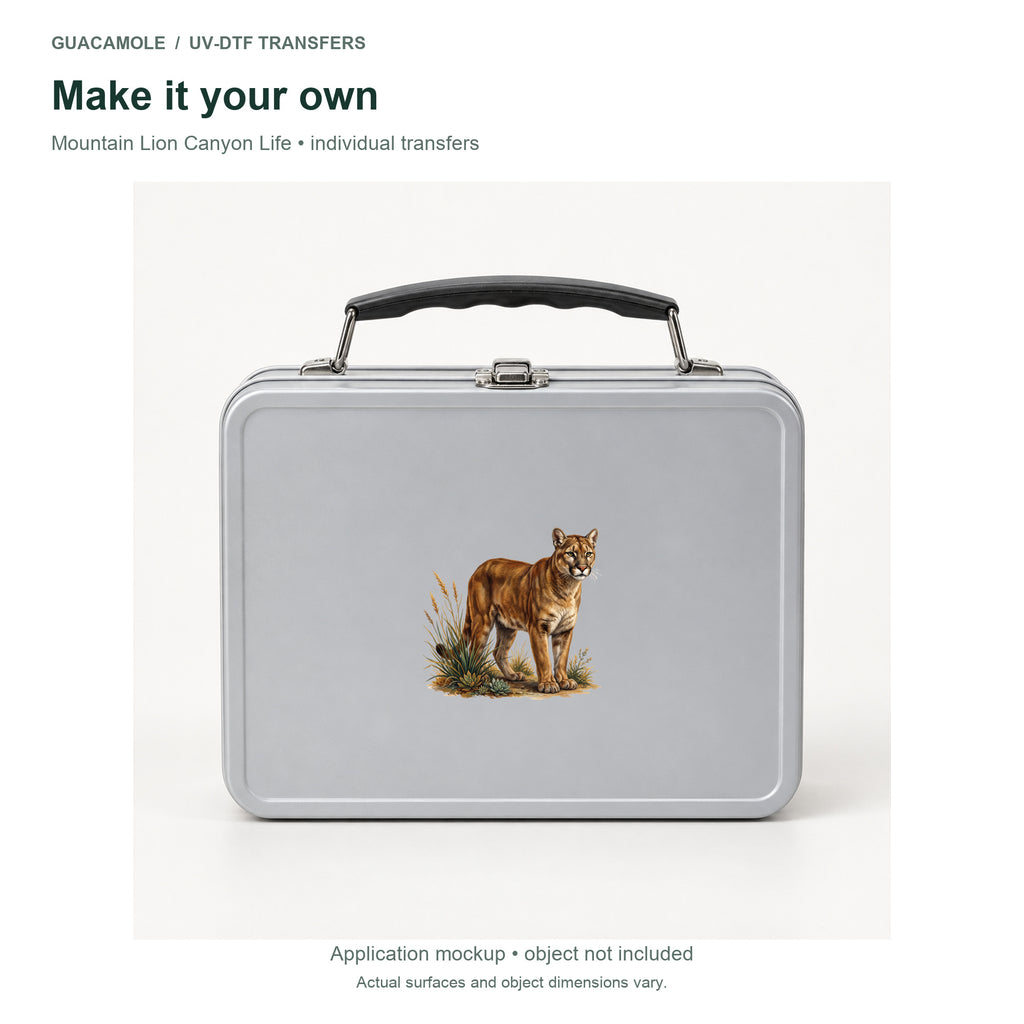 Mountain Lion Canyon Life — Second application setting