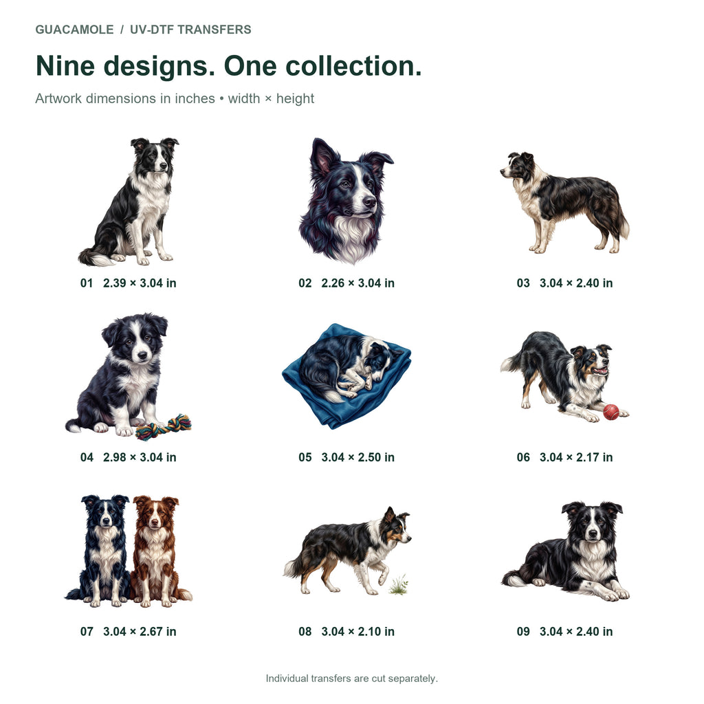Border Collies — Nine designs and sizes