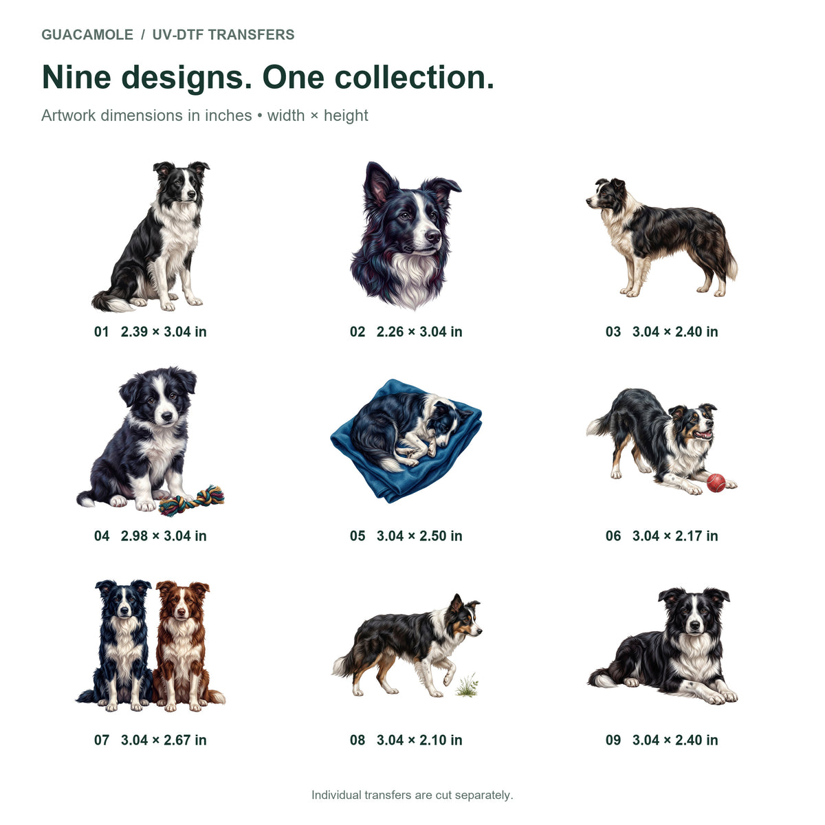 Border Collies — Nine designs and sizes