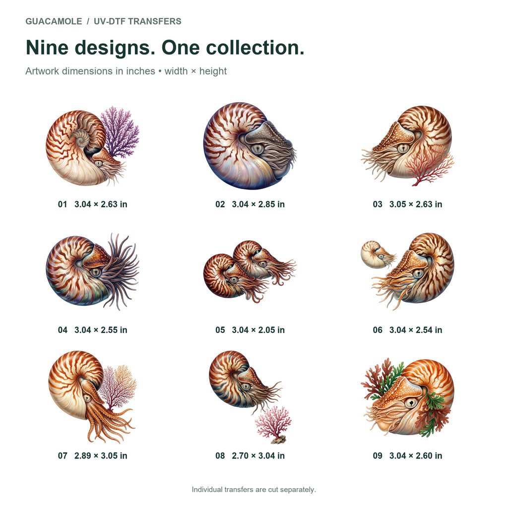 Nautilus Shell Voyagers — Nine designs and sizes