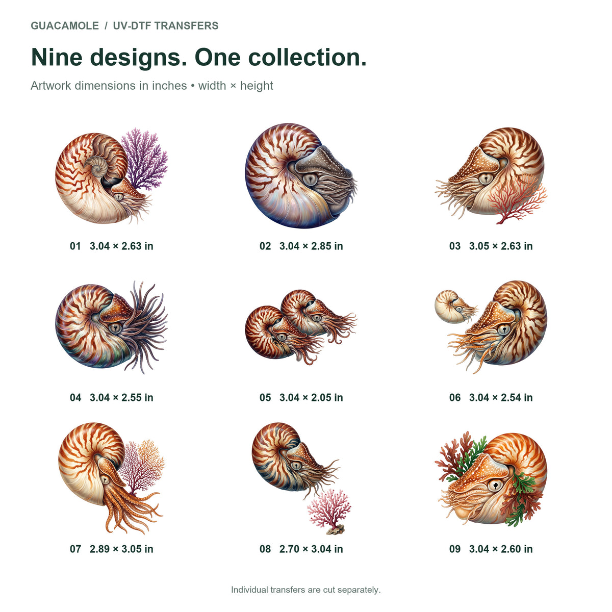 Nautilus Shell Voyagers — Nine designs and sizes