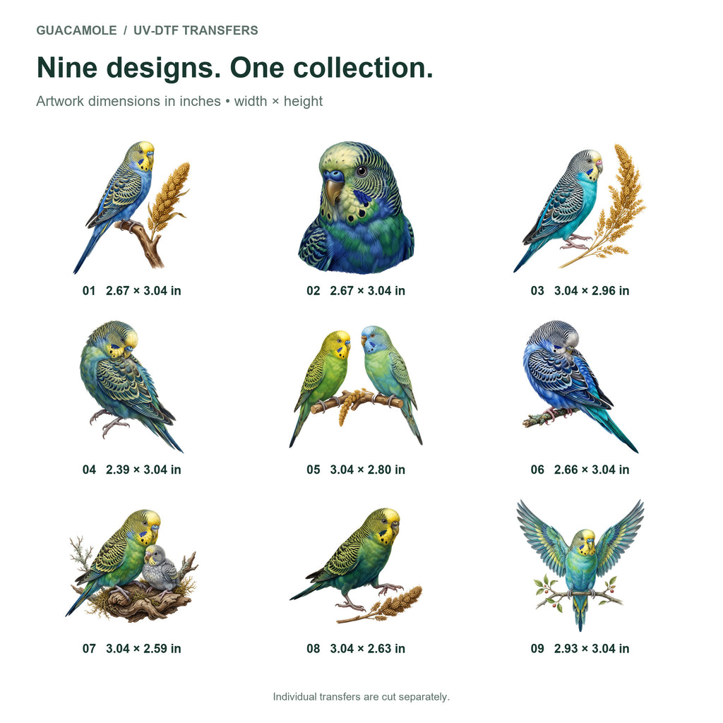 Budgie Companions — Nine designs and sizes