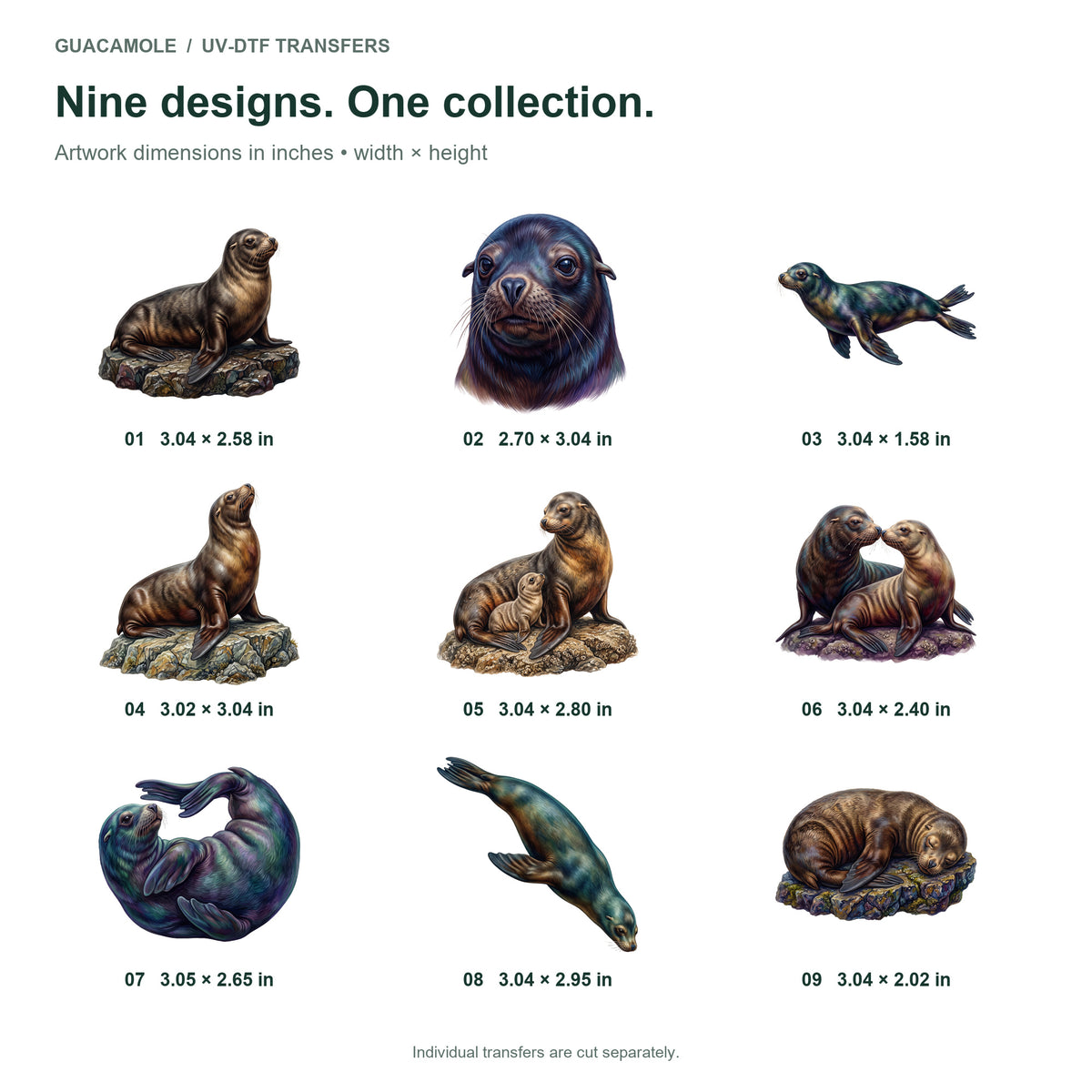 Sea Lion Colony — Nine designs and sizes