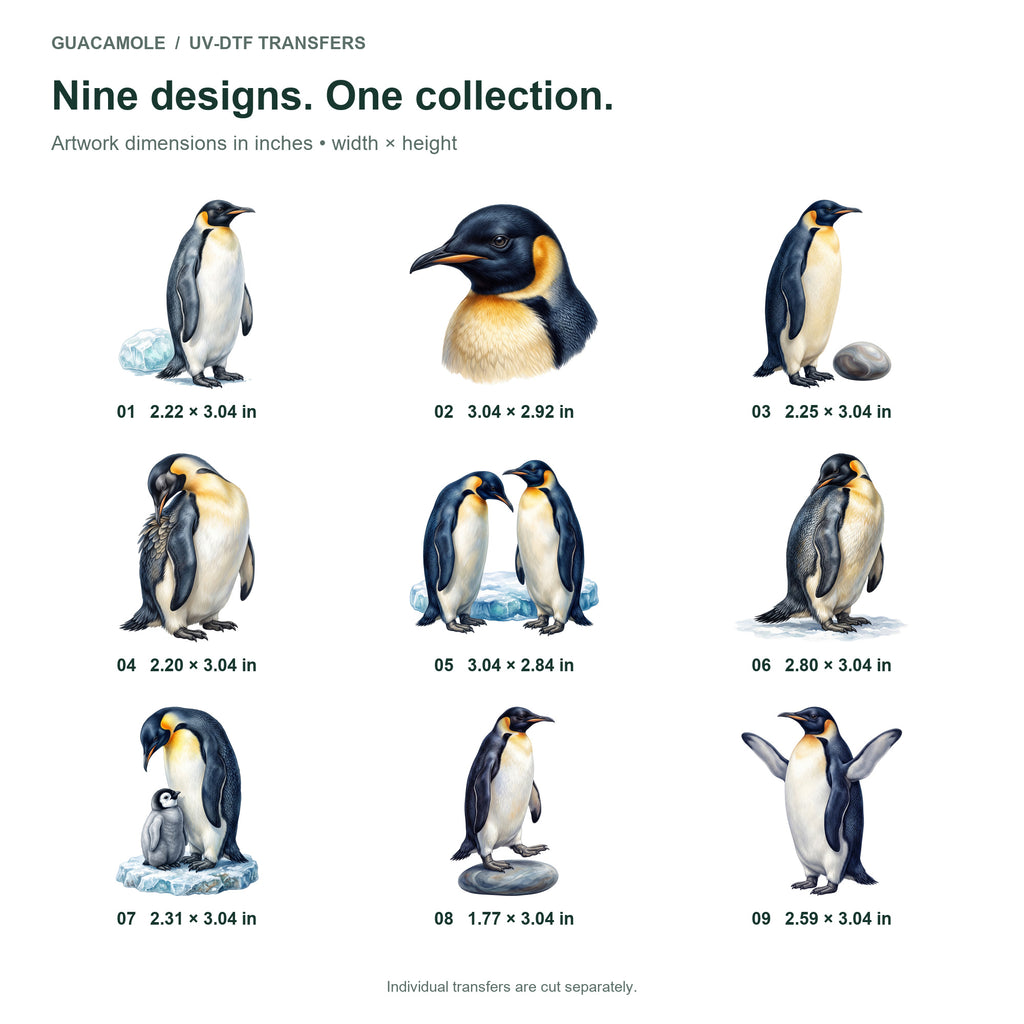 Penguin Colony — Nine designs and sizes