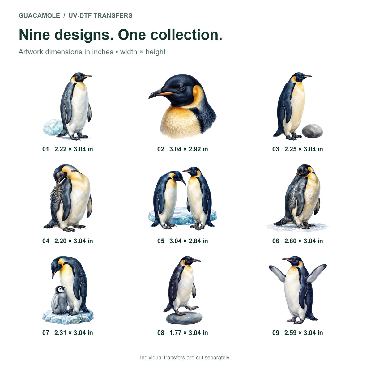 Penguin Colony — Nine designs and sizes