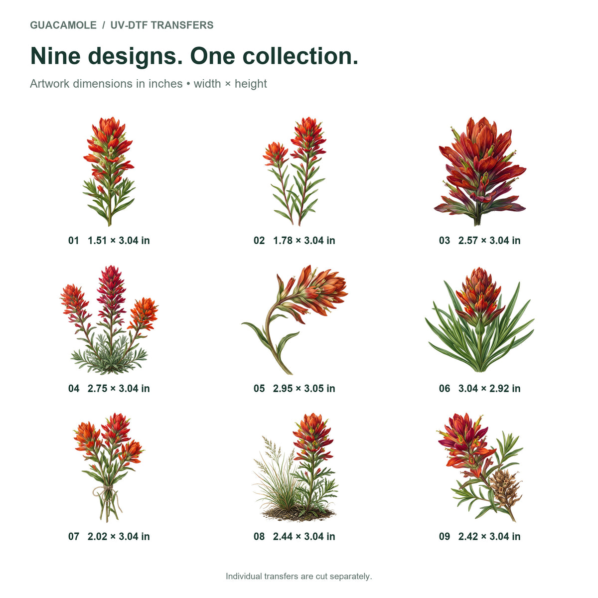 Indian Paintbrush — Nine designs and sizes