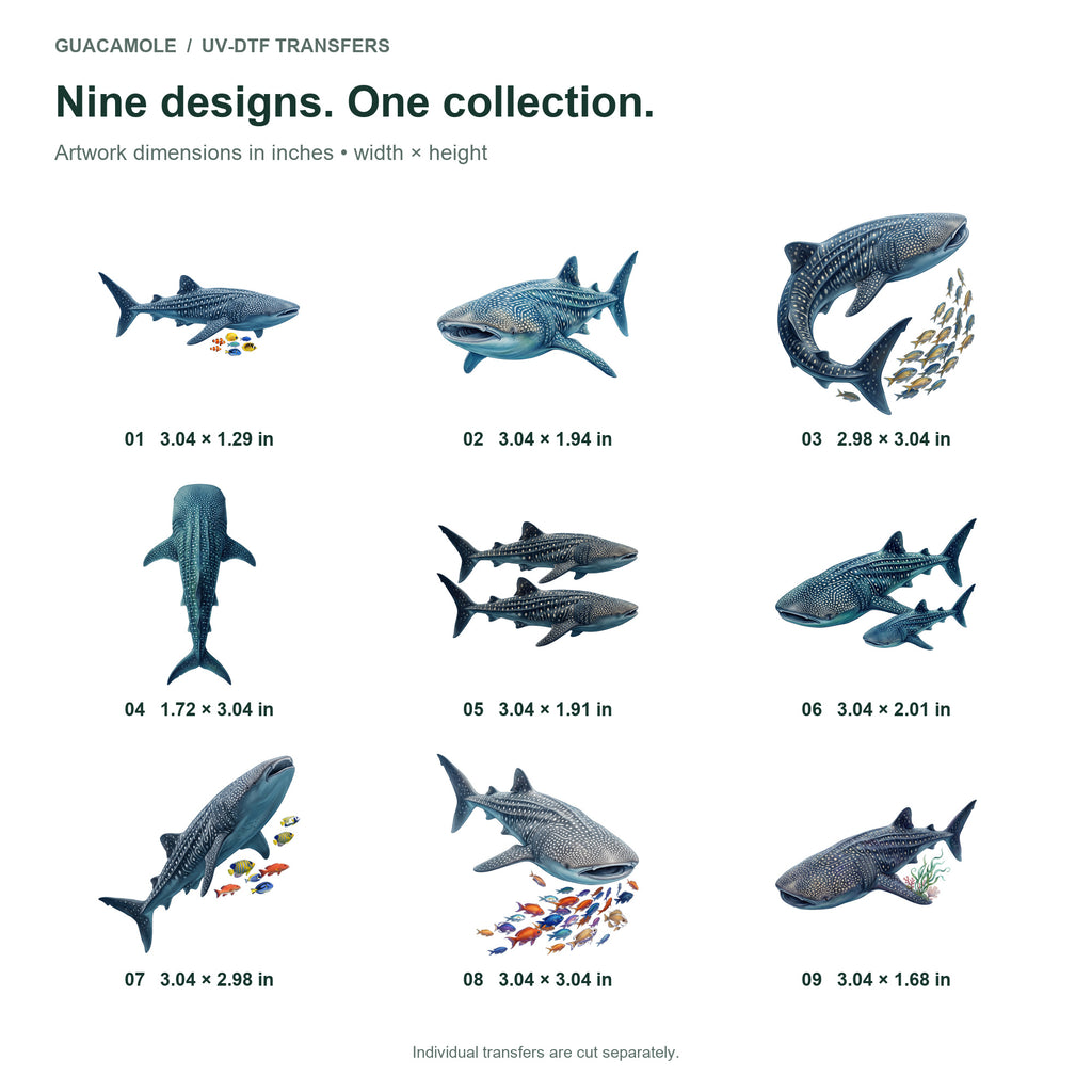 Whale Shark Encounters — Nine designs and sizes