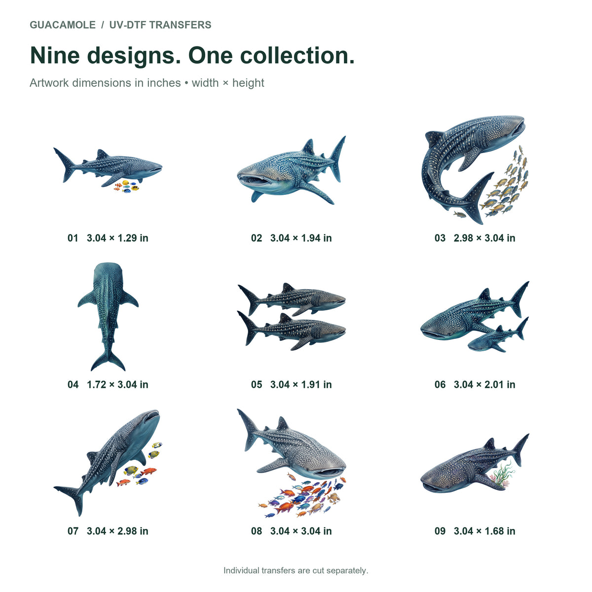 Whale Shark Encounters — Nine designs and sizes